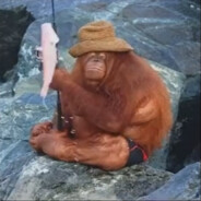 GorillaDruid37