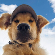 与我劫后余生.2