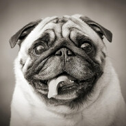 всефидящий