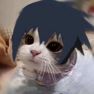 鱼丸