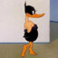 Daffy Duck.