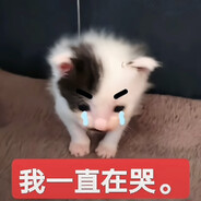 我一直在哭法法法