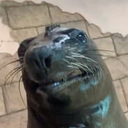 ⬧︎InspironMagie.