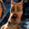 like scoob