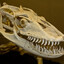 「Varanus komodoensis」
