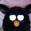 Furby