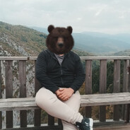 bear