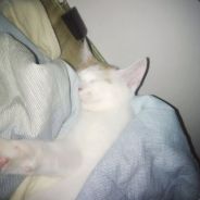 Big Avatar