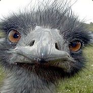 Bla,bla,bla... - steam id 76561197964389036