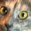 JNT