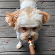 andrew swimming pool