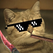 ♛•𝑄𝑢𝑒𝑒𝑛•♛