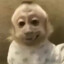 MonitoChulito