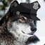 Sheriff LoBo&#039;*&#039; v4