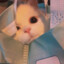Melody