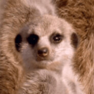 я не договорила