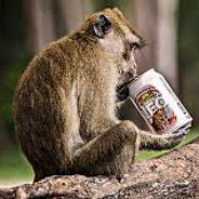 your_local_drunk_monkey