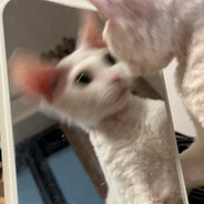 名字取得好 三星来得早