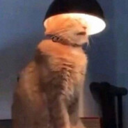 garf's Avatar