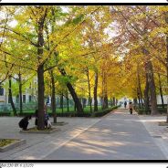 别问，问就是吃鸡