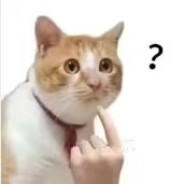 ✙ｐｐｐｐｐ✙