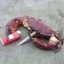 The Crab Sacc