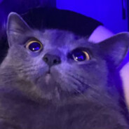 Конча суслика