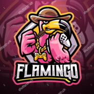 FastFlamingo