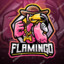 FastFlamingo