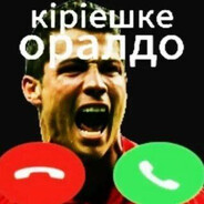 Задира стейси