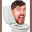 toilet master