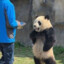 整你脸上