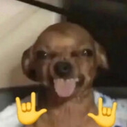 狂帅炫酷屌炸天