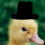 SirDuck