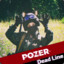 POZER