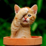 thisisMike - steam id 76561197960415326