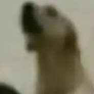 патрiпатрiк