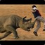 Guy on Rhino