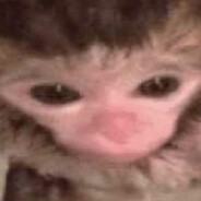 maia - steam id 76561197992896629