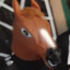 Futeboli