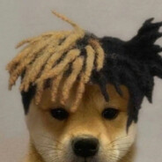 你的对手是小学生的我