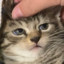 Patri -