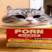 Пивной кулер