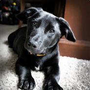 TimmyG - steam id 76561197971118987