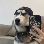 18厘米长的烦恼