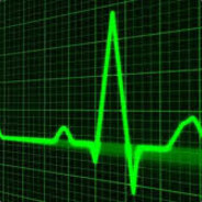 micropenisinc - steam id 76561198106671152