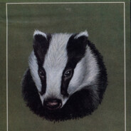 Yet More Badgers