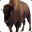 Beefy Buffalo