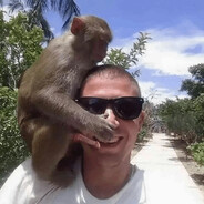 ab x mz