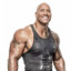 The Rock